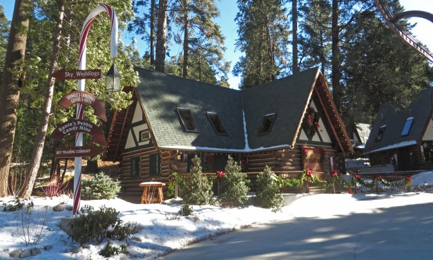 By the numbers: SKYPARK AT SANTA’S VILLAGE!