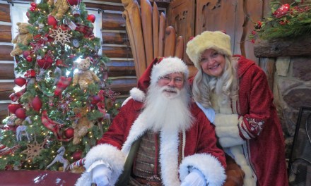 SEVEN things you need to know about the newly reopened SKYPARK AT SANTA’S VILLAGE!