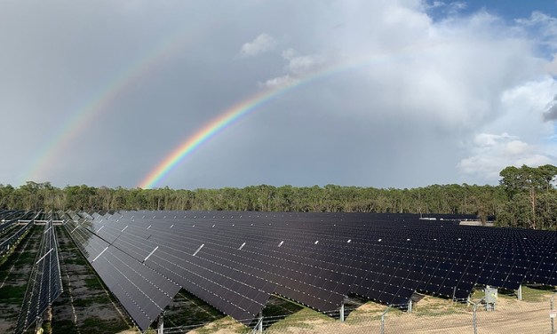 Walt Disney World’s new 270-acre Solar Facility is online, enough to power TWO of its Florida parks!