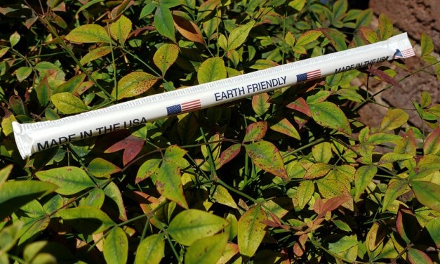 Disneyland begins the switch to disposable straws and they’re actually great!