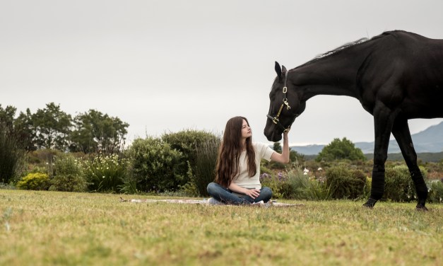 BLACK BEAUTY is a gorgeous film on the bonds between horse and human