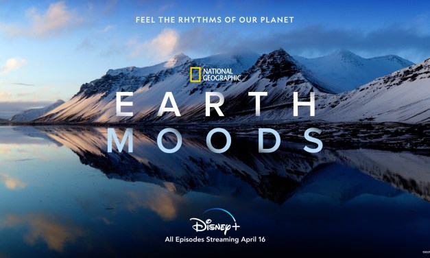 Find more zen with National Geographic’s EARTH MOODS on #DisneyPlus