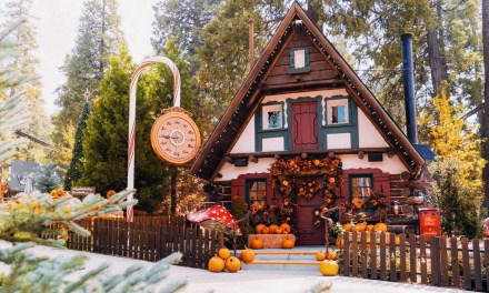 Pumpkins in the Pines 2022 bringing fall flavors and fun to SkyPark at Santa’s Village