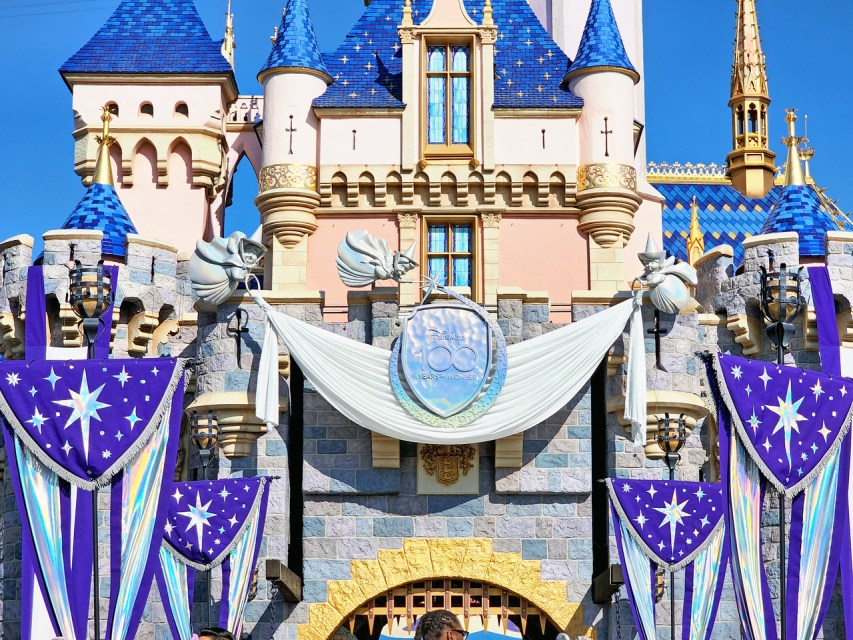 FIRST LOOK: Sleeping Beauty Castle shimmering overlay celebrates