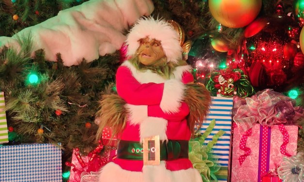 GUIDE: Grinchmas Tree Lighting is a dazzling spectacle complete with snowfall during the 2023 holiday season at Universal Studios Hollywood