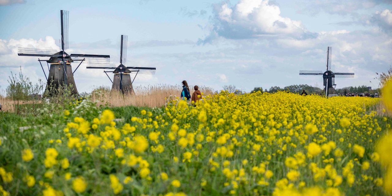 Adventures by Disney 2025 itineraries include Holland and Belgium River Cruises