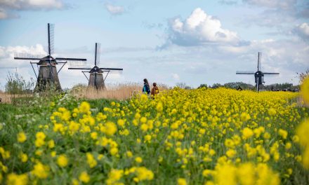 Adventures by Disney 2025 itineraries include Holland and Belgium River Cruises