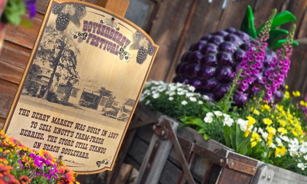COMPLETE GUIDE: 2024 Knott’s Boysenberry Festival is a berry good time with food and fun for all