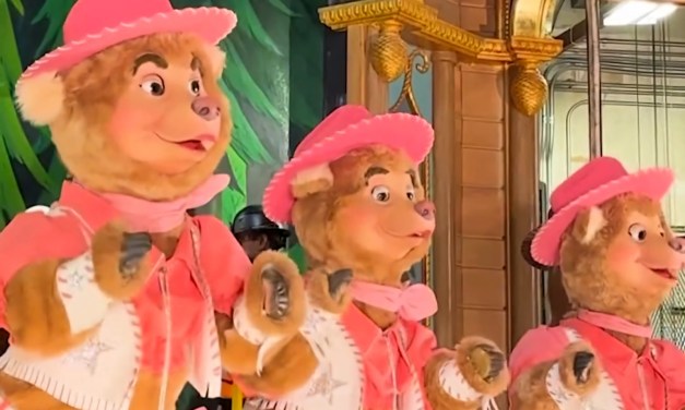 Bunny, Bubbles, and Beluah don matching pink outfits in updated Country Bear Musical Jamboree