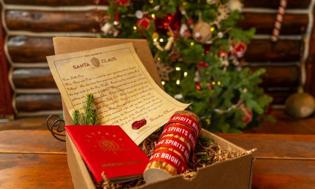 DETAILS: VIP Christmas Experience 2024 at SkyPark at Santa’s Village