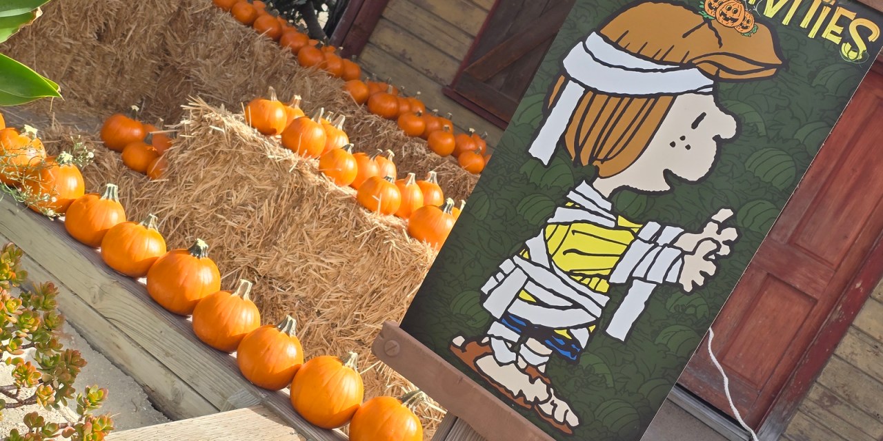GUIDE: Cookie and Pumpkin decorating at 2024 Knott’s Spooky Farm