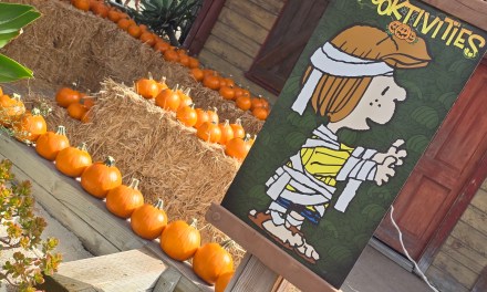 GUIDE: Cookie and Pumpkin decorating at 2024 Knott’s Spooky Farm