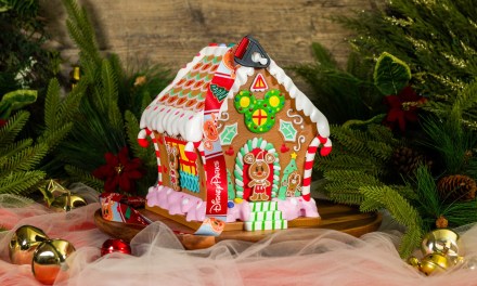 GUIDE: Every Disneyland 2024 holiday novelty item; buckets, sippers, and more!