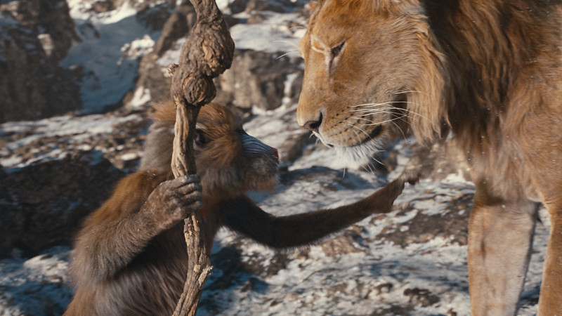 Tickets now on sale for MUFASA: THE LION KING, in theaters Dec. 20, 2024