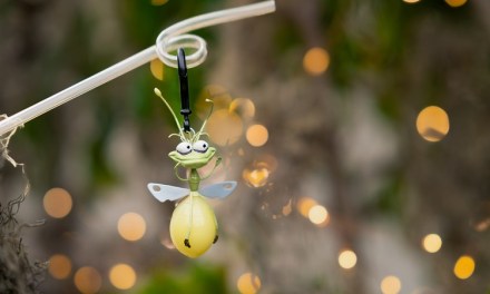 New menu items, Raymond straw clip coming to Tiana’s Palace restaurant