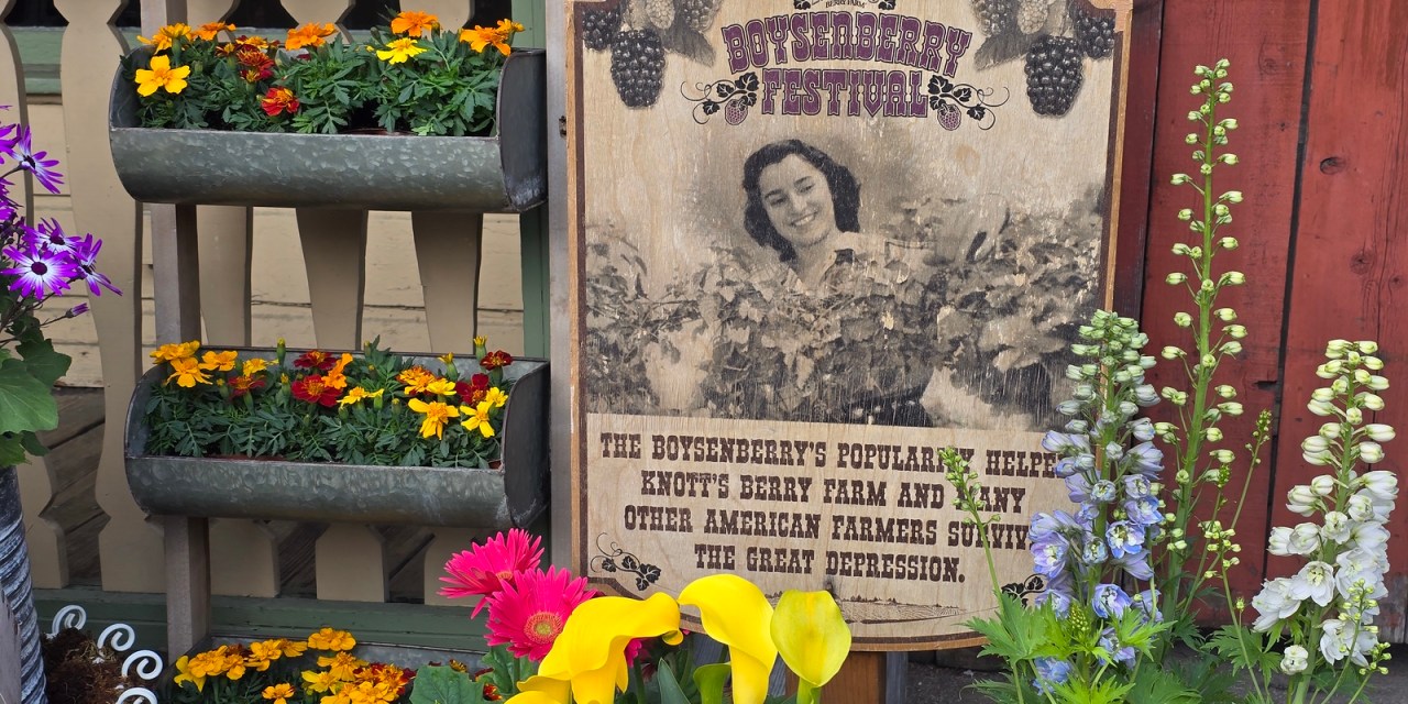 GUIDE: History of the Boysenberry exhibit at 2025 Knott’s Boysenberry Festival