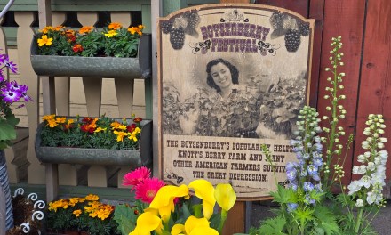 GUIDE: History of the Boysenberry exhibit at 2025 Knott’s Boysenberry Festival
