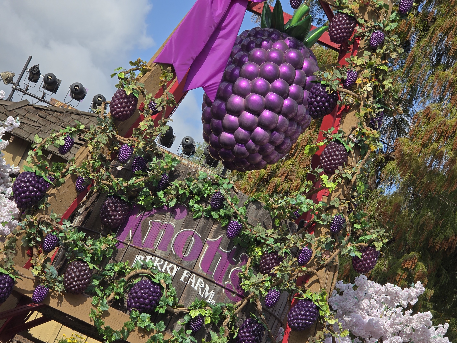 FULL GUIDE: 2025 Knott's Boysenberry Festival — what you need to know ...