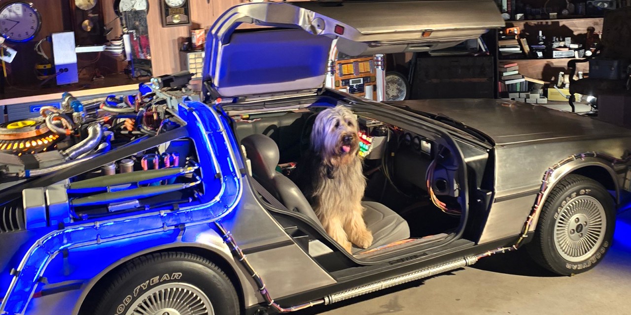 GUIDE: Back to the Future: Destination Hill Valley at Universal Fan Fest Nights 2025