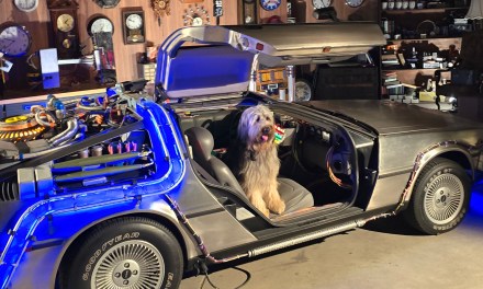 GUIDE: Back to the Future: Destination Hill Valley at Universal Fan Fest Nights 2025