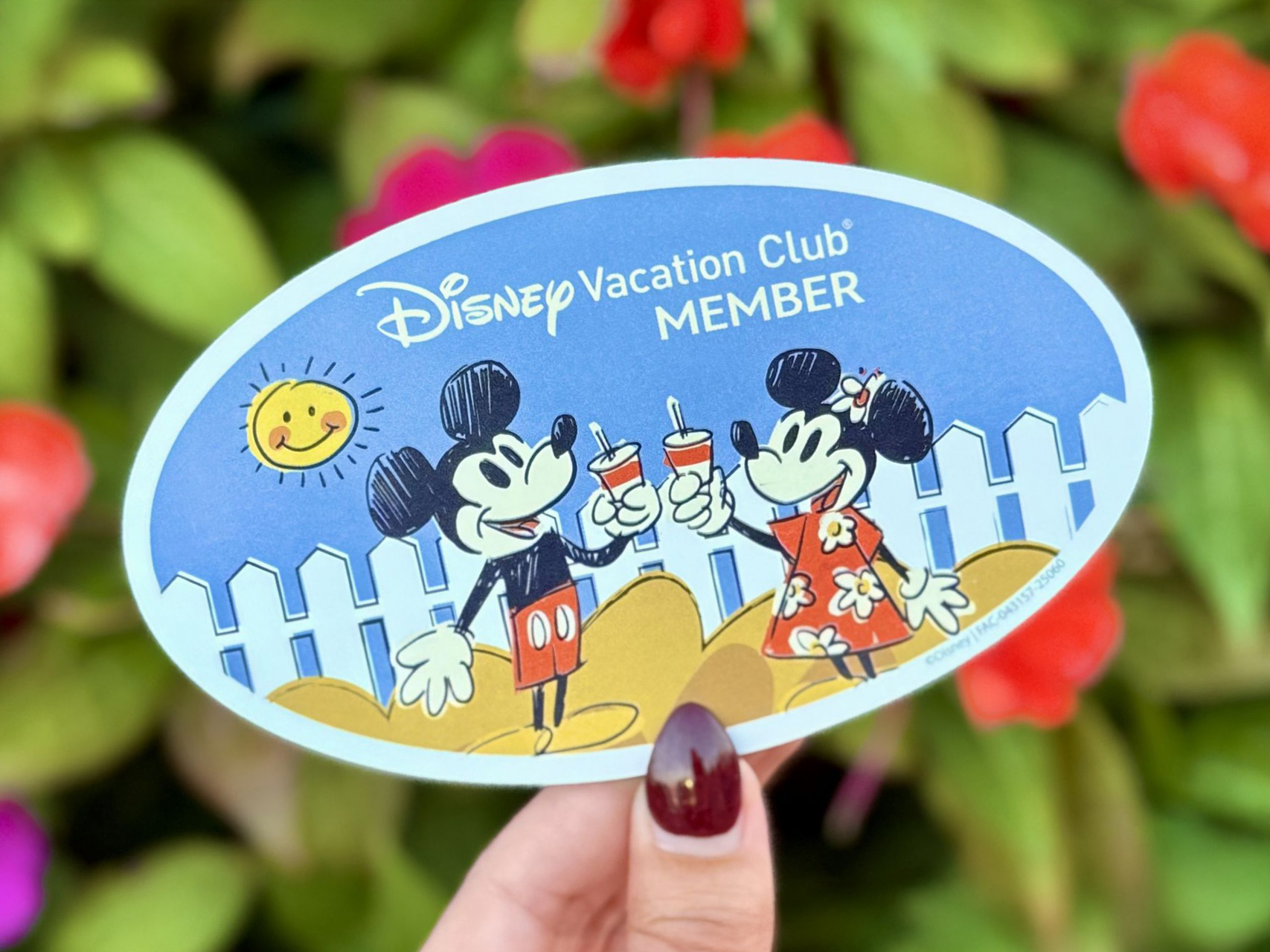 Disney-Vacation-Club-2025-