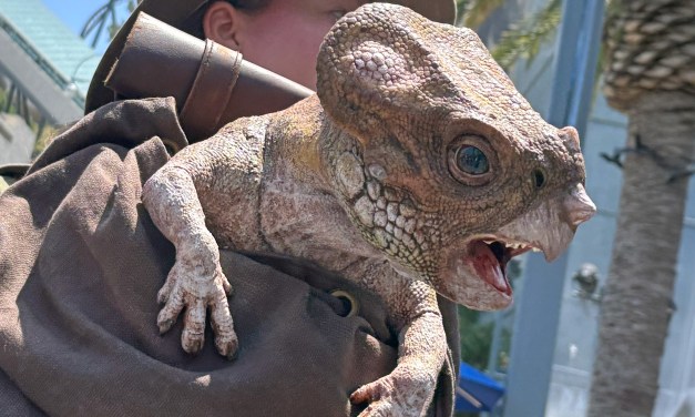 GUIDE: New Aquilops joins dino encounters for Universal Mega Movie Summer