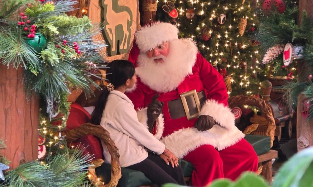 GUIDE: “Santa’s Holiday Visit” at DCA for 2025 #DisneyHolidays