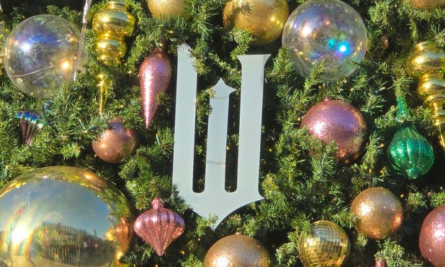 GUIDE: Wicked tree, Meet Elphaba and Glinda, snacks, merch at Universal Hollywood