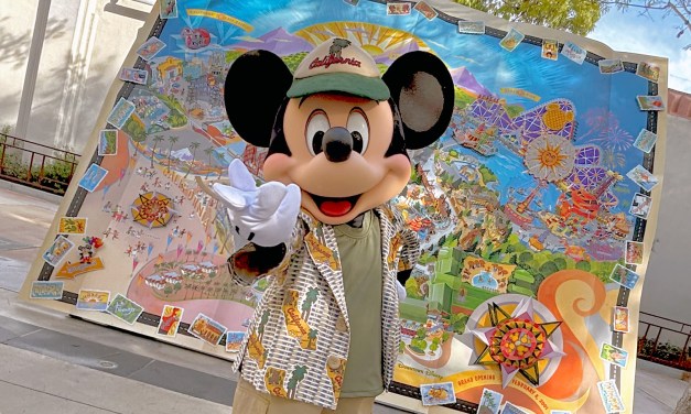 GUIDE: DCA 25th Anniversary Celebration event, free postcard magnets, photo-ops