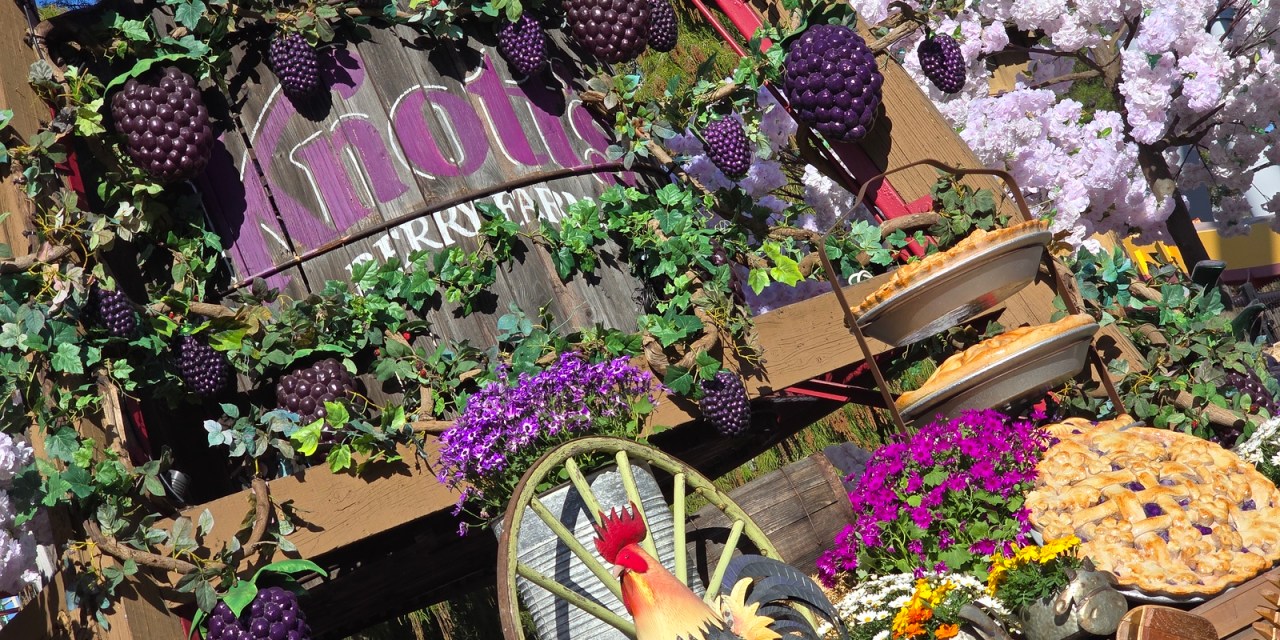 FULL GUIDE: 2026 Knott’s Boysenberry Festival — what you need to know