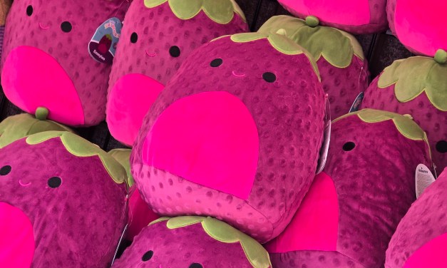 GUIDE: Boysenberry Lane at 2026 Knott’s Boysenberry Festival