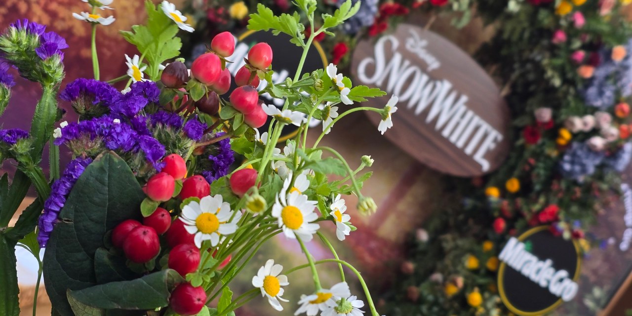 STEP INSIDE: D23 Snow White exclusive event for Charter Members