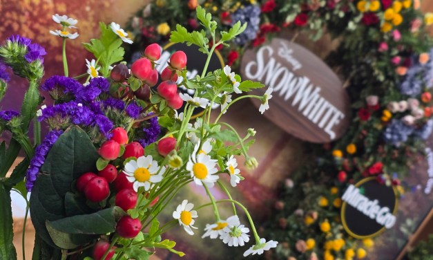 STEP INSIDE: D23 Snow White exclusive event for Charter Members