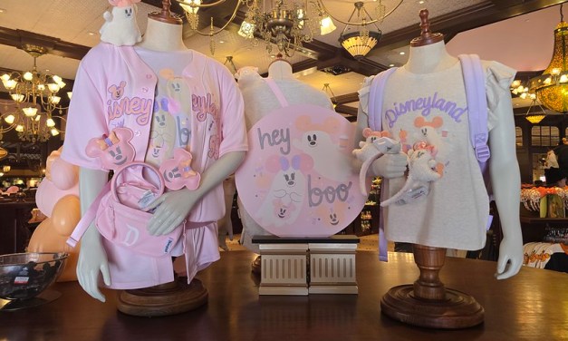 Magic Key Perk: Up to 40% off plus standard discounts on select 2026 Halloween Time merch
